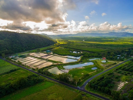 Accessible fishing ponds